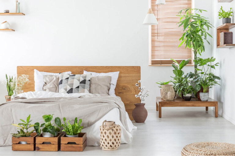 best pet friendly plants for bedroom